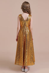 A-Line Amazing Sequins V-neck Flower Girl Dress Online